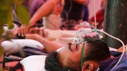 印度“黑真菌症”：致盲致命