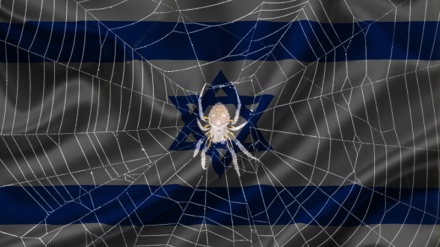 Shamkhani: U shemb rrjeta e merimangës së sionistëve