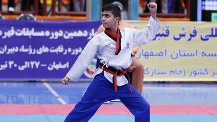 伊朗运动员在世界跆拳道比赛中赢得铜牌