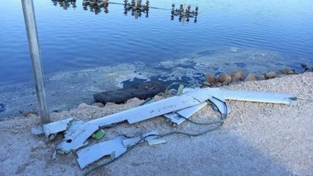 Militer Israel Mengaku Tembak Jatuh Drone dari Yordania