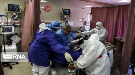 Эронда коронавирус бўйича сўнгги маълумотлар