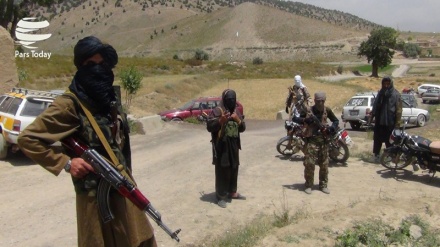 کشته شدن مسئول کمیسیون نظامی طالبان در ولایت جوزجان