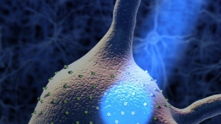 Luce e geni riattivano i neuroni, un uomo recupera in parte la vista