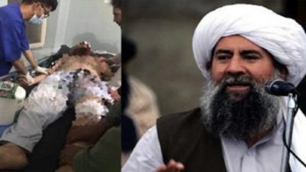 کشته شدن معاون  شاخه‌ انشعابی گروه طالبان
