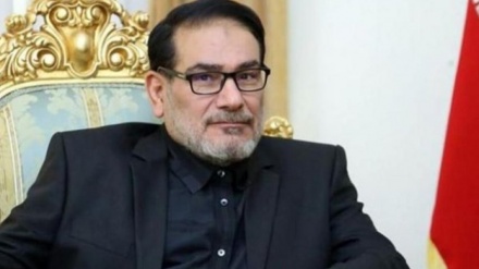 شمخانی: ایران  آماده مشارکت با کشورهای منطقه در ایجاد امنیت  جمعی است