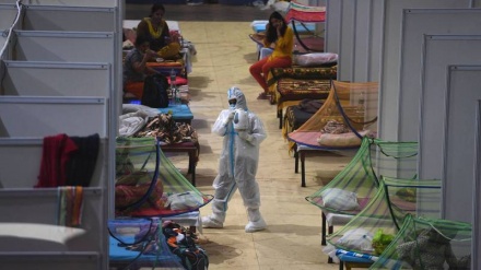 印度新冠病毒疫情的最新统计