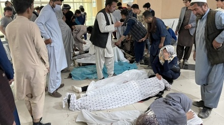 بی اطلاعی از سرنوشت یکی از قربانیان جنایت تروریستی در مدرسه سیدالشهدا کابل پس از دوماه