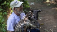 ニカラグアの動物園で、バクの赤ちゃん