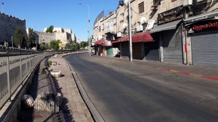 巴勒斯坦所有城市举行大罢工声援加沙和古都斯