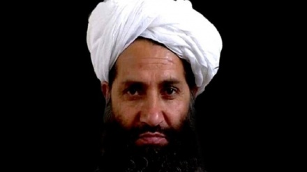 ملاهبت الله: هرگز قصد آسیب زدن به افغانستانی‌ها را نداشته ایم
