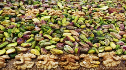 Pistachio exports down 33% in year to March: IRICA