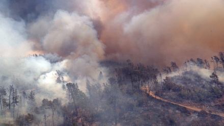 米ロサンゼルス郡で山火事、住民に避難命令