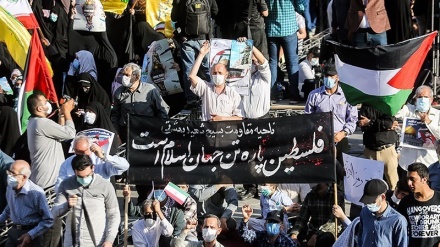 德黑兰人民举行集会声援巴勒斯坦 （组图）