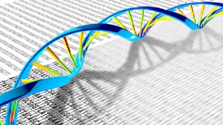 Millennium Prize ai pionieri del sequenziamento genetico
