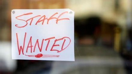 UK ‘faces labour shortages’ as COVID and Brexit fuel exodus of overseas workers