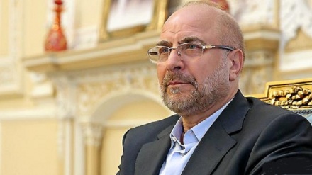 Iran steps up parliamentary diplomacy over Zionist crimes