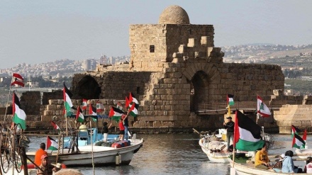 Manifestimi simbolik i Ditës Botërore të Kodsit në vende të ndryshme të botës