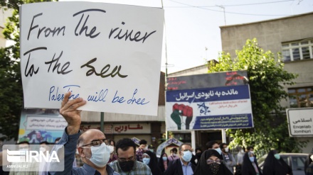 (FOTO) Corteo pro palestinese a Tehran - 2