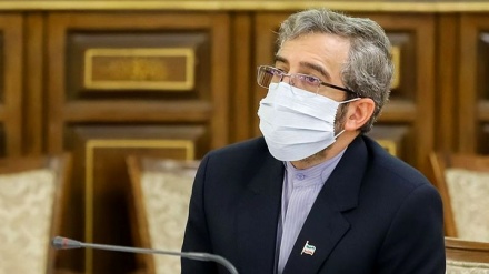 伊朗司法机构人权委员会秘书参观 “巴勒斯坦并不孤单” 漫画展览