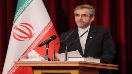 باقری کنی: سوریه با  