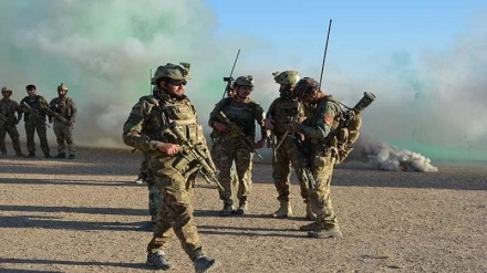 کشته شدن ۲۲ عضو گروه تروریستی القاعده در افغانستان