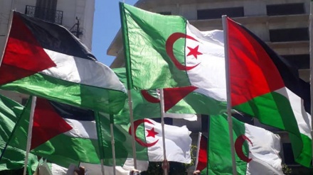 L'Afrique en marche