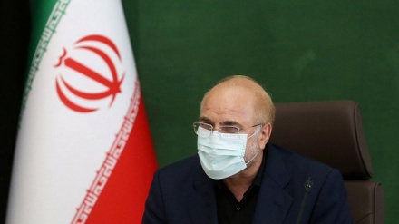 קליבאף מתח בקורת על השתיקה הבינלאומית ביחס לפשעים הציונים