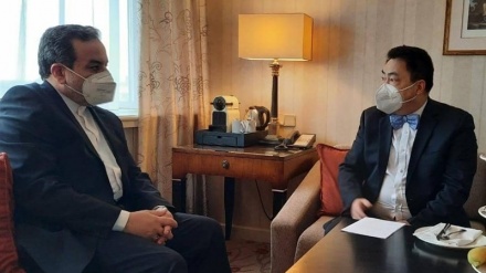 伊中外交代表团在维也纳举行会晤