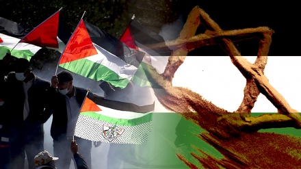 Anggota Kongres AS Kritik Kejahatan Israel di Palestina