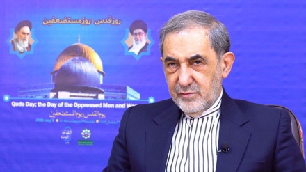 Iran will continue to support Palestine as one of its top foreign policy priorities: Leader’s aide