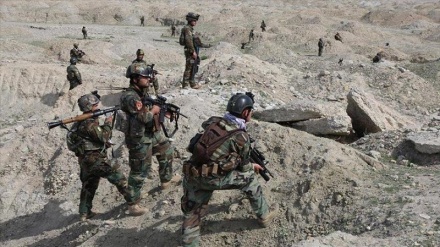 کشته شدن دهها عضو گروه طالبان در عملیات ارتش افغانستان 
