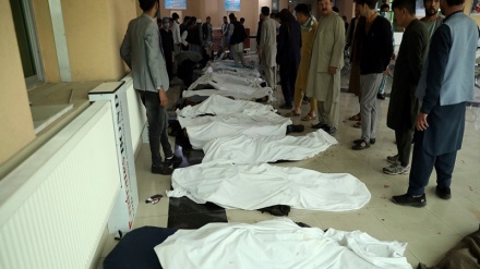 ادامه ی واکنش ها به انفجار خونین مدرسه سیدالشهدا کابل
