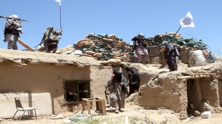 کشته شدن 20 نیروی امنیتی در حمله طالبان به ولایت فراه