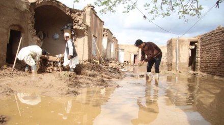 شمار تلفات سیلاب های اخیر افغانستان به ۷۸ کشته رسید