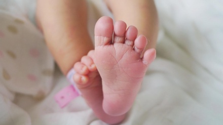 中国的人口政策变化，每对夫妻可以生育三个孩子