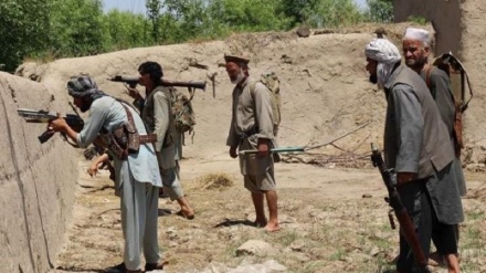  کشته شدن 7 نیروی خیزش مردمی افغانستان به دست گروه طالبان