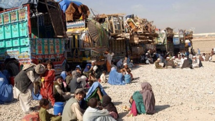 ده ها هزار آواره در شمال و جنوب افغانستان به دلیل خشونت ها