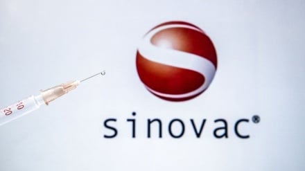 世界卫生组织批准成人接种科兴疫苗（Sinovac）