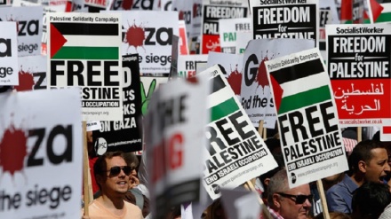 Disconnect between media and huge grassroot protests for Palestine