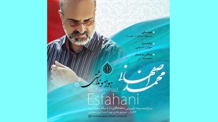 هوامو نداشتی