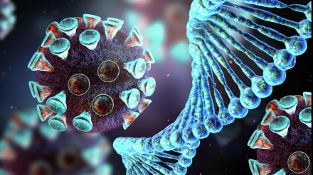 וייטנאם זיהתה זן חדש של קורונה שמשלב בין המוטציות הבריטית וההודית