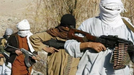 کشته شدن 7 عضو گروه طالبان در ولایت غزنی 