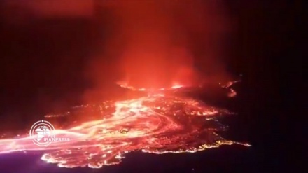 Конгода вулқон фаввораси (Видео)