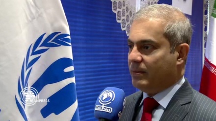 UN official: Iran’s behavior with Afghan refugees outstanding