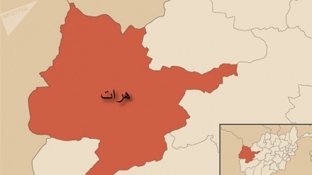 تظاهرات مردم هرات در اعتراض به افزایش ناامنی ها در افغانستان+ صوت