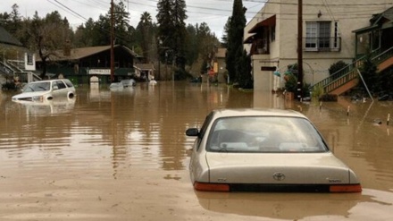 Amerkə Mişiqanədə şiddətinə oveyz