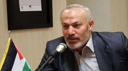 אבו שריף : איראן היא התומכת הראשית בהתקוממות