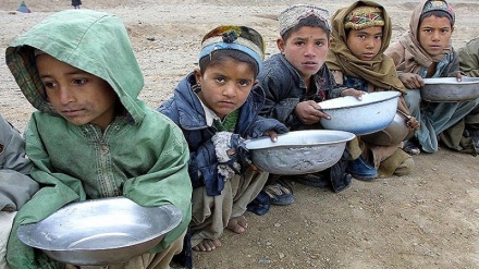 محرومیت ۹۵ درصد خانواده‌های افغان از غذای کافی