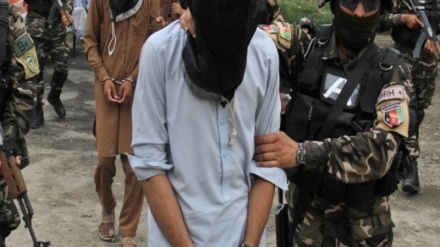 بازداشت چهارتن از مسئولان محلی در ولایت لغمان 