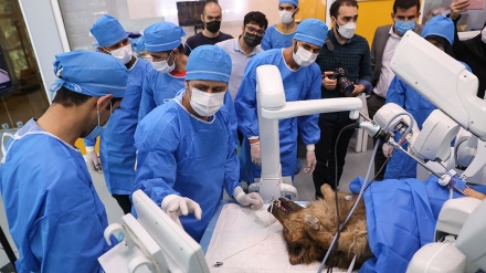 Kryhet operacioni i parë kirurgjik nga distanca me aparatin robot iranian